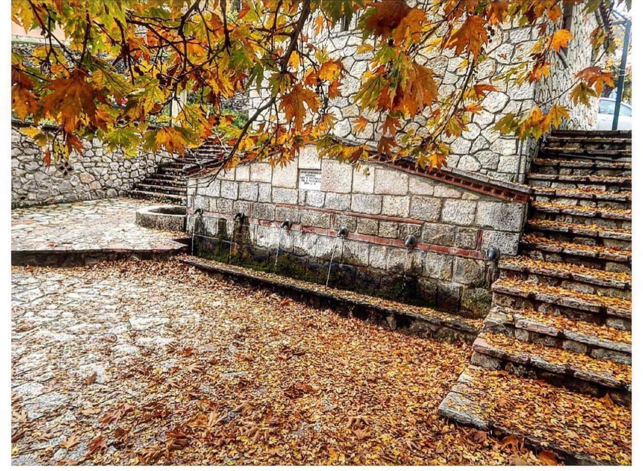 Asimina Guesthouse, Eptalofos Parnassos Exteriör bild