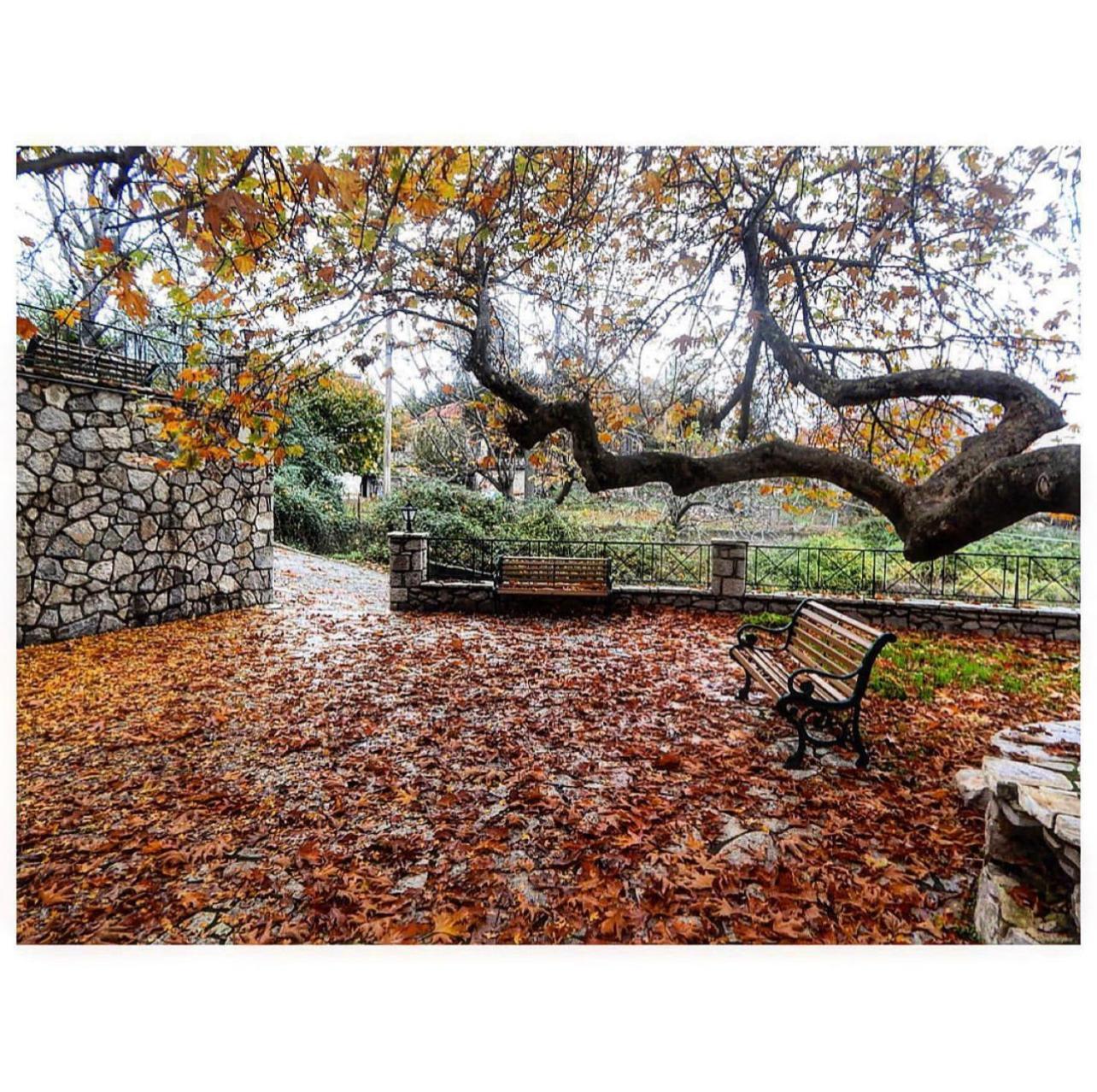 Asimina Guesthouse, Eptalofos Parnassos Exteriör bild