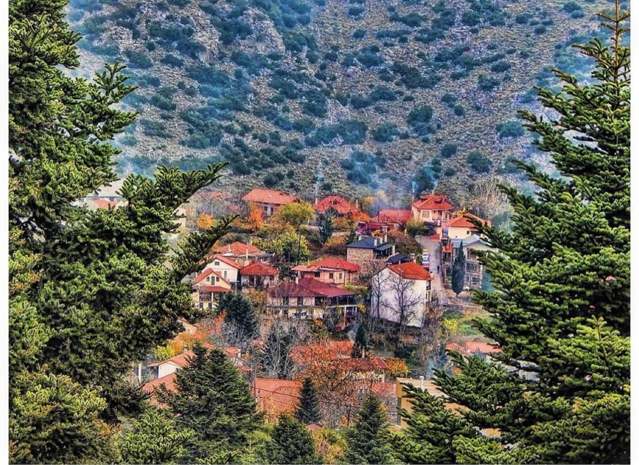 Asimina Guesthouse, Eptalofos Parnassos Exteriör bild