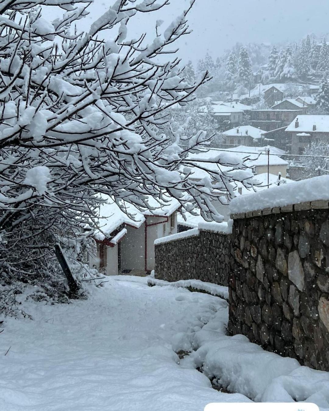 Asimina Guesthouse, Eptalofos Parnassos Exteriör bild