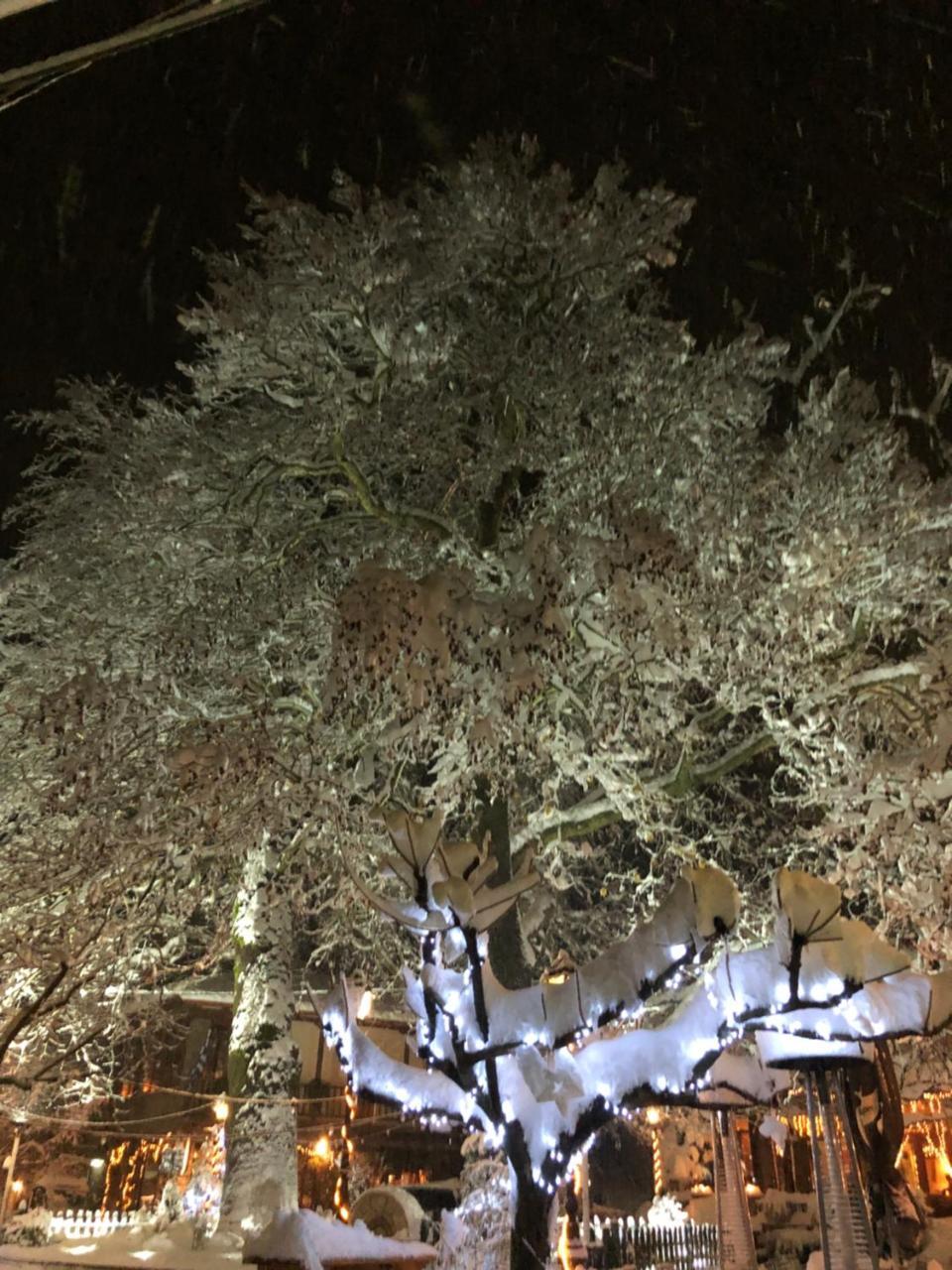 Asimina Guesthouse, Eptalofos Parnassos Exteriör bild